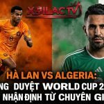 Ảnh bìa nhận định trận đấu giữa Hà Lan và Algeria trước thềm World Cup 2026 trên kênh trực tiếp bóng đá Xoilac TV, với hình ảnh Cody Gakpo và Riyad Mahrez.