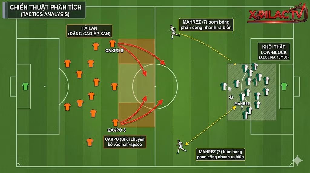 Sa bàn phân tích chiến thuật trận Hà Lan vs Algeria: Đội hình Hà Lan dâng cao ép sân đối đầu với khối phòng ngự lùi sâu của Algeria từ chuyên gia soi kèo Xoilac TV.